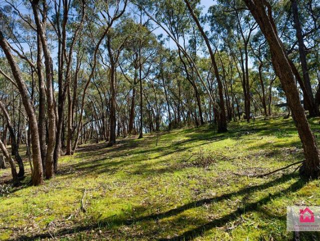 Space, Privacy & a Natural Harcourt Setting