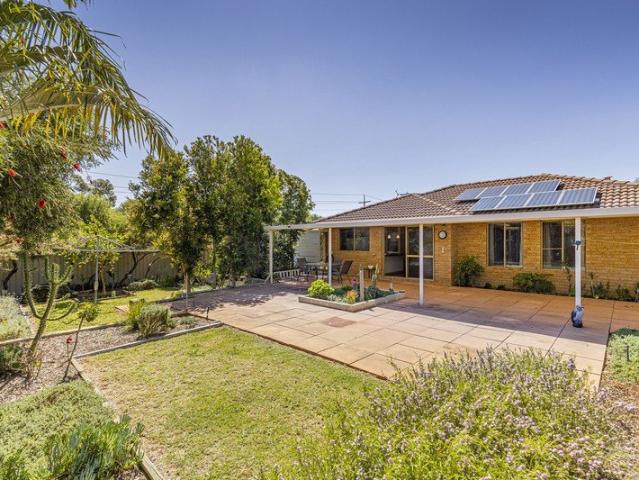 Space, Privacy, and a Backyard That Delivers