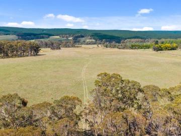 Space, Privacy & Country Living on 40 Acres