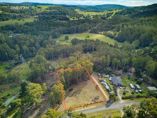 Space, Privacy & Your Own Piece of Acacia Hills