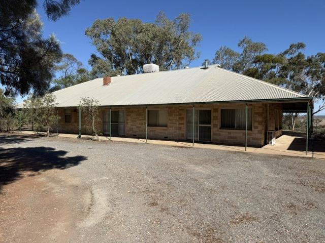 SPACE, SHEDDING, VIEWS 34 Acres on Nelshaby Rd