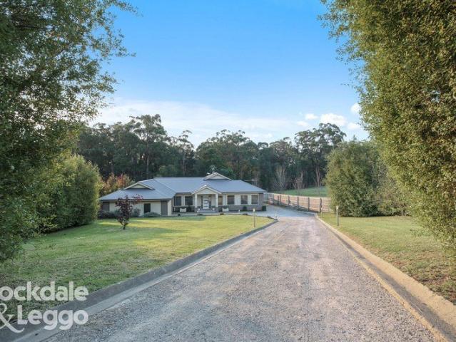 SPACE, SHEDDING & FAMILY FLEXIBILITY ON HALF AN ACRE