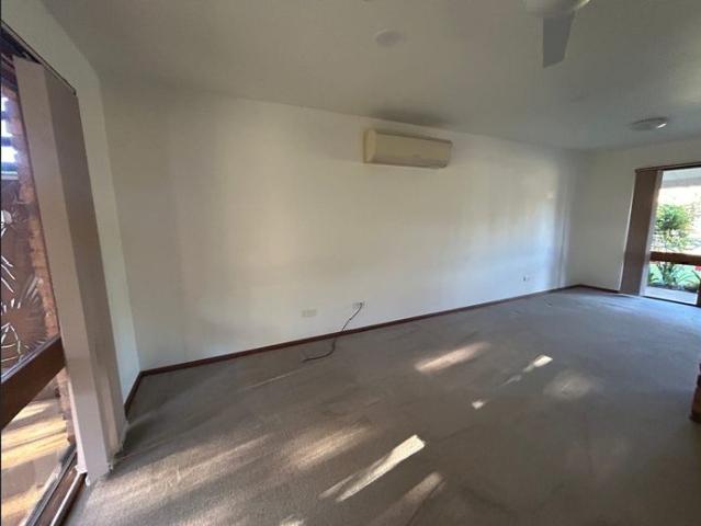 Space, Shedding & Lifestyle in Sought After Junction Hill