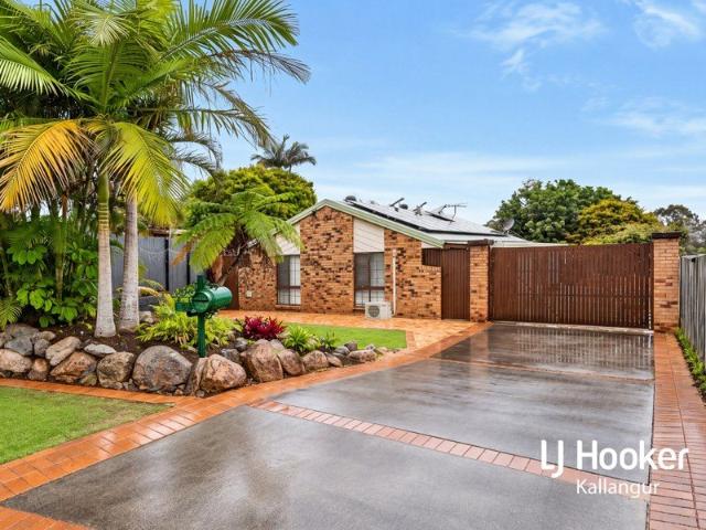 SPACE, SHEDS & SIDE ACCESS ON A GENEROUS 1,096M2 BLOCK