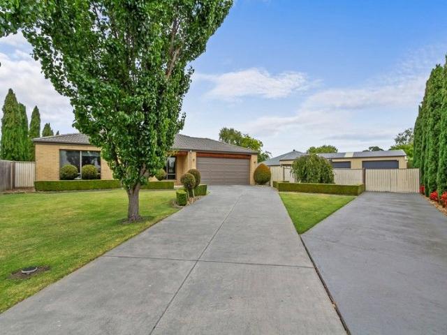 Space, Sheds & Superb Entertaining in a Prime Court Location