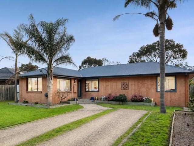Separate Studio Complex on a Quarter Acre with a Pool