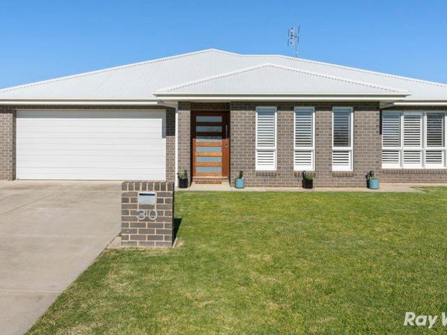 Space, Style & Shedding The Perfect Family Package