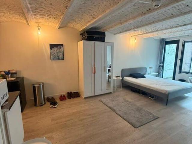 Spacious 40+ m² furnished studio with huge private garden –