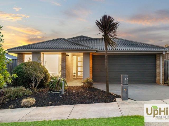 Spacious 4 Bed Family Living in the Sought After Waterford Rise Estate