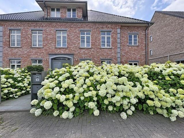 Spacious 4 bedroom apartment in Grimbergen