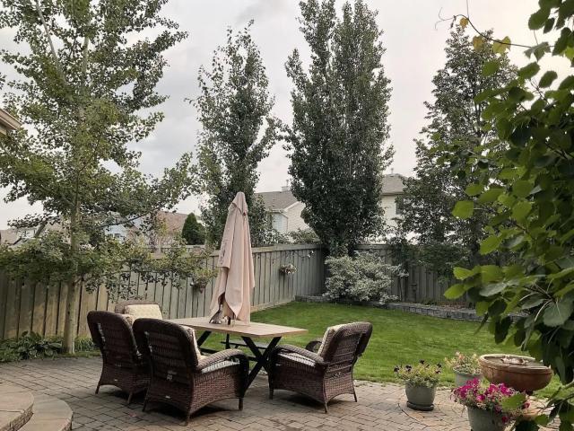 Spacious 4 Bedroom Family Home with a Beautiful Backyard for Rent!