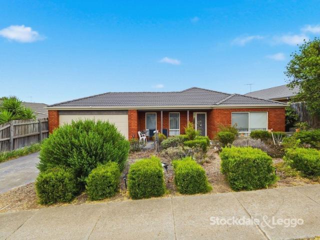 Spacious 4 Bedroom Family Living in a Prime Maddingley Location