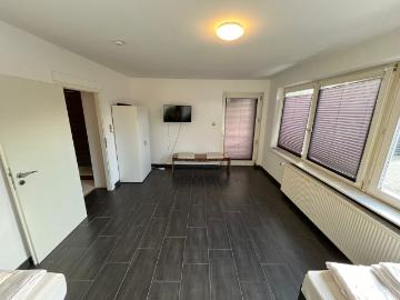 Spacious 4 Room Apartment for Business Travelers and Groups