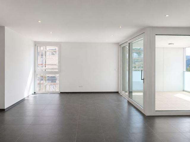 Spacious 4.5 room apartment with large terrace