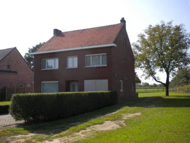Spacious 5 bedroom house for rent in Mol Millegem