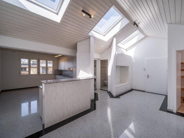 Spacious 5.5 room apartment with terrace
