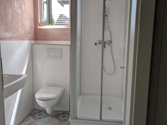 Spacious 7 Room House, Courtyard – Ideal for Companies