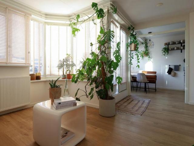Spacious 1 Bedroom Apartment 70 m² with Balcony & Terrace – Amsterdam Oost