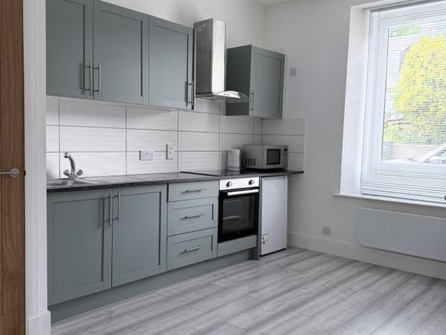 Spacious 1 bedroom flat newly renovated
