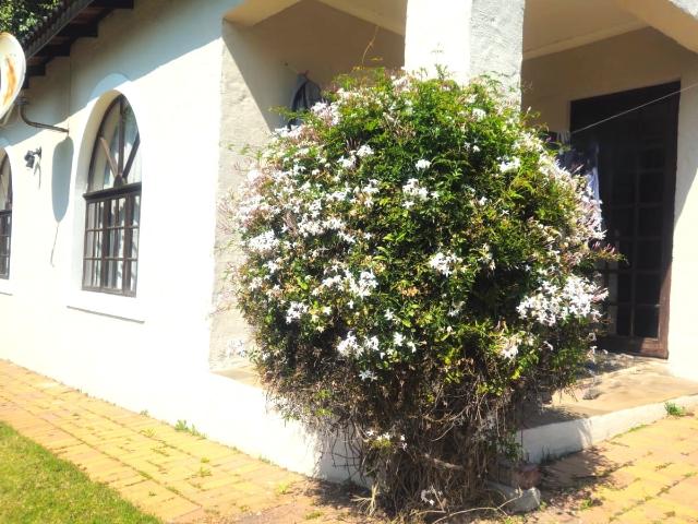 Spacious 2 Bedroom Cottage to Rent in Jukskei Park