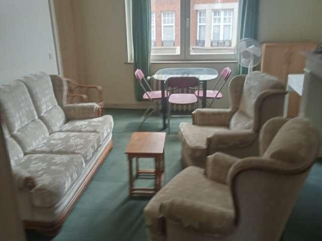 Spacious 2 bedroom apartment for rent in Ixelles, Brussels