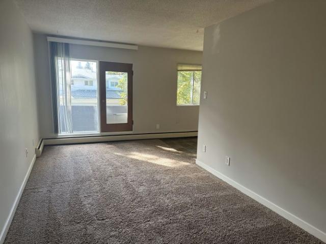 SPACIOUS 2 Bedroom APARTMENT! GREAT LOCATION Downtown!