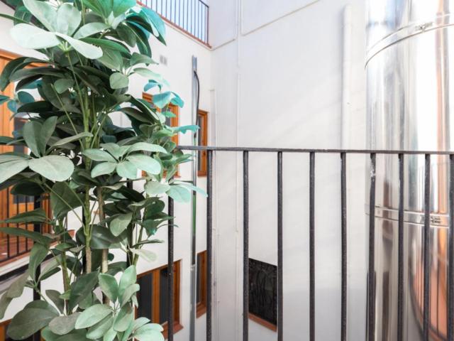 Spacious 3 bedroom flat in Ciutat Vella