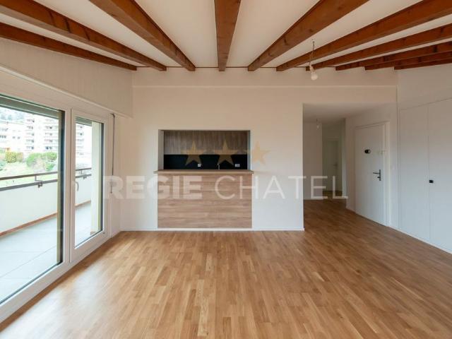 Spacious 3.5 room apartment with lake view