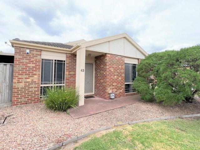 Spacious Three Bedroom Home with Generous Living & Covered Outdoor Entertaining