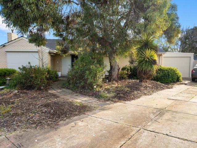 Spacious Three Bedroom Home with Large Yards
