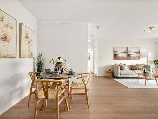 Spacious, Updated Apartment with Unbeatable Convenience