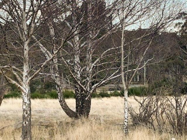 Spacious Vacant Allotment of 1795 m²