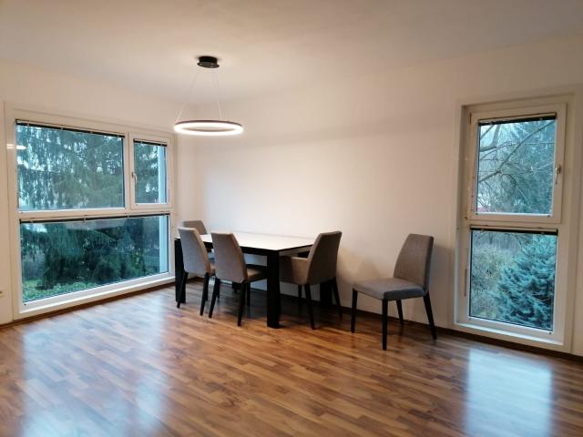 Spacious, well kept apartment with green view + surrounded by nature + great infrastructure on the quiet edge of Vienna