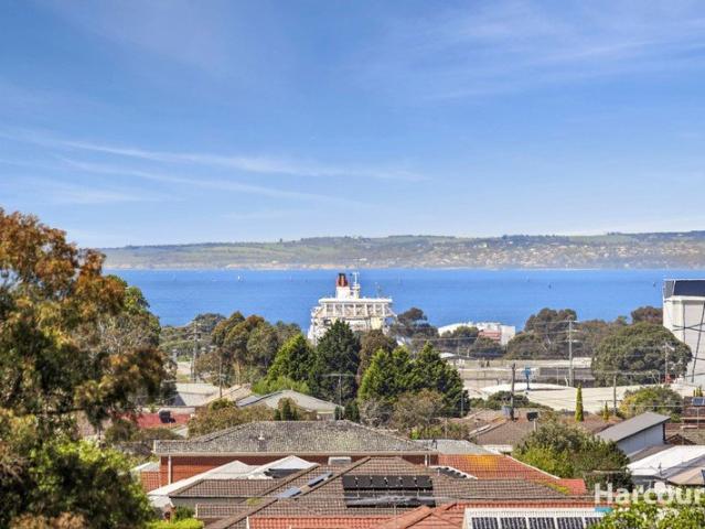Spacious, With a View Of The World