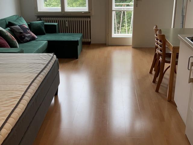 Spacious, amazing studio in Frankfurt am Main, Frankfurt Amsterdam Apartments for Rent
