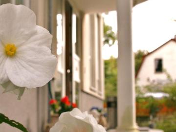 Spacious and amazing studio in Glienicke/Nordbahn