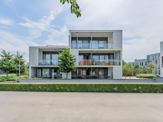 Spacious and bright 3 room apartment with terrace, parking s