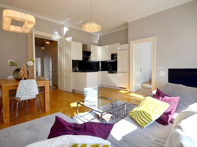 Spacious and light flooded apartment directly at Castle Belvedere
