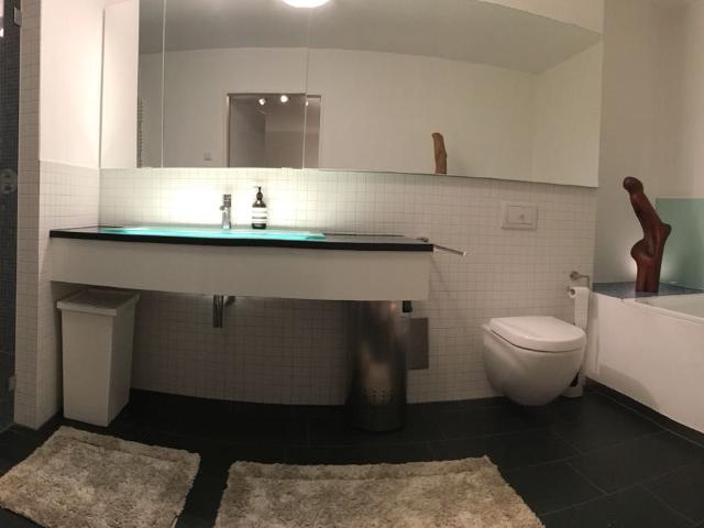 spacious and luxurious apartment at Clarenbach
