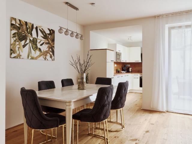 Spacious and modern apartment with garden, Wien, Vienna Amsterdam Apartments for Rent