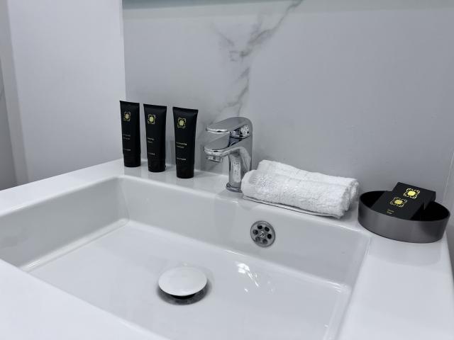 Spacious and Modern Apartment Rue Gallieni, Boulogne Billancourt