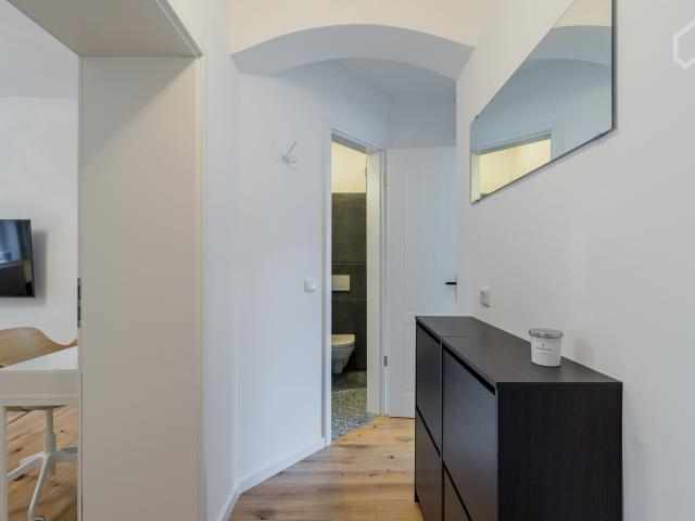 Spacious and newly renovated 2 room flat in Weißensee