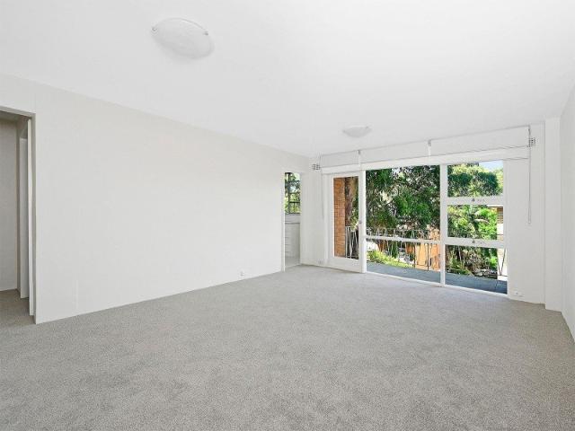 Spacious and renovated apartment