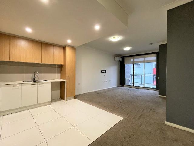 Spacious Apartment
