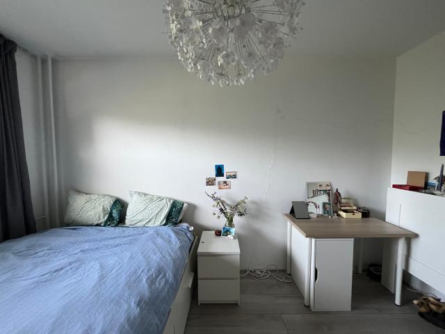 Spacious apartment Amsterdam Noord
