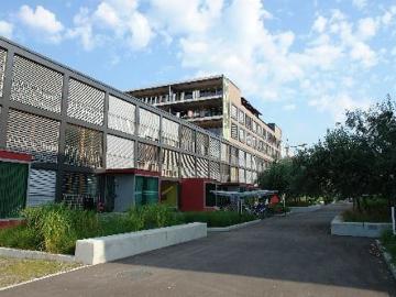 Hegifeldstrasse, Hegifeld, Winterthur, Bezirk Winterthur, Kanton Zürich