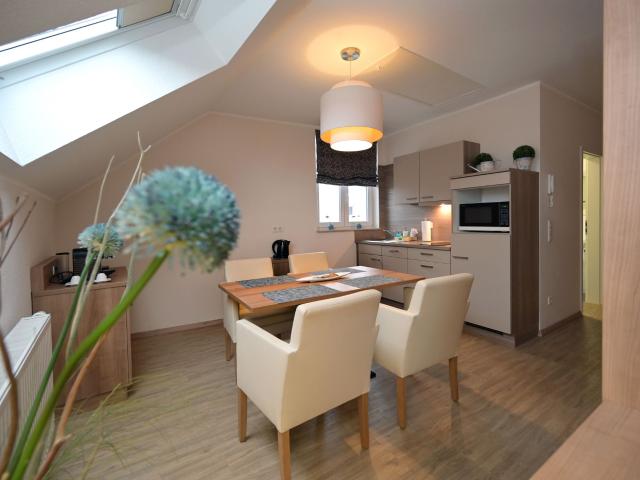 Spacious apartment in the center of Speyer