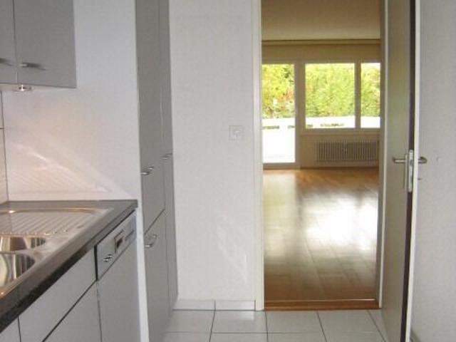Spacious apartment in the green
