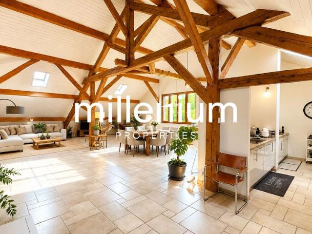 Spacious apartment in the heart of the Geneva countryside