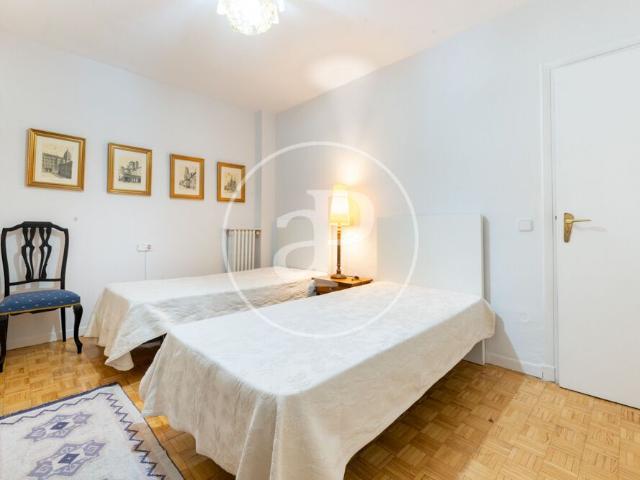 Spacious Apartment on Avenida de América